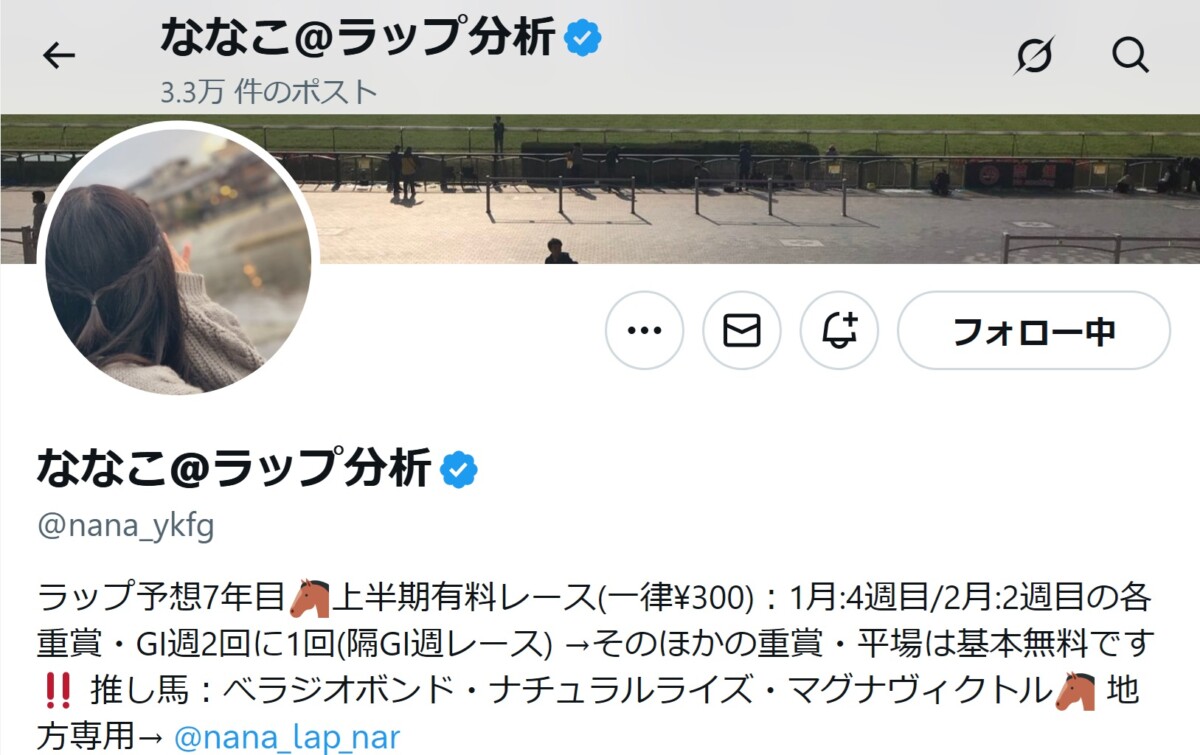 競馬予想家：ななこ@ラップ分析