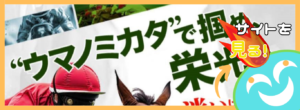 ウマノミカタという競馬予想サイトは当たらない？口コミ評判を公開！