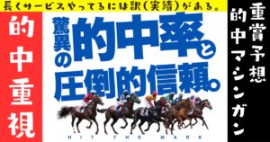 ヒットザマーク